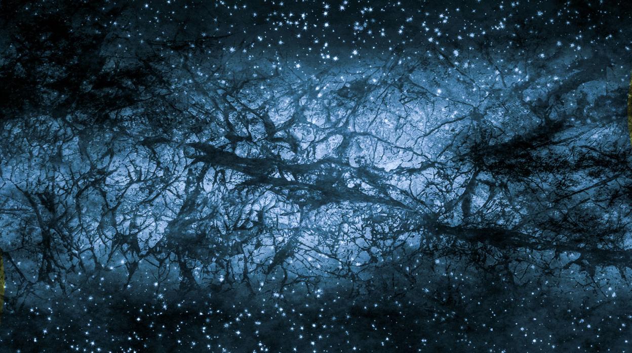 Lee más sobre el artículo Vera Rubin: Pionera de la materia oscura